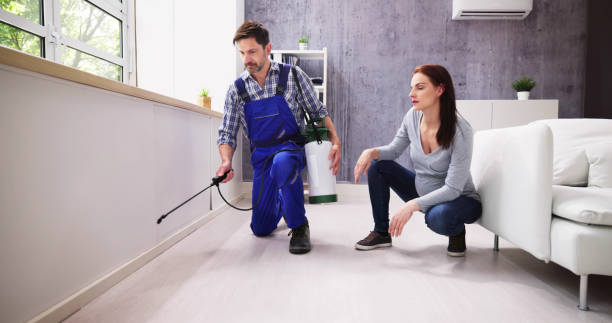 Reliable South Miami Heights, FL Pest Control Solutions